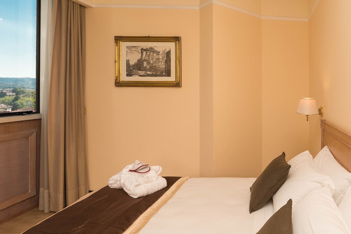 Hotelkamer met een bed, een raam met uitzicht op een stadsbeeld, een lijst met een afbeelding aan de muur en een bedlampje.