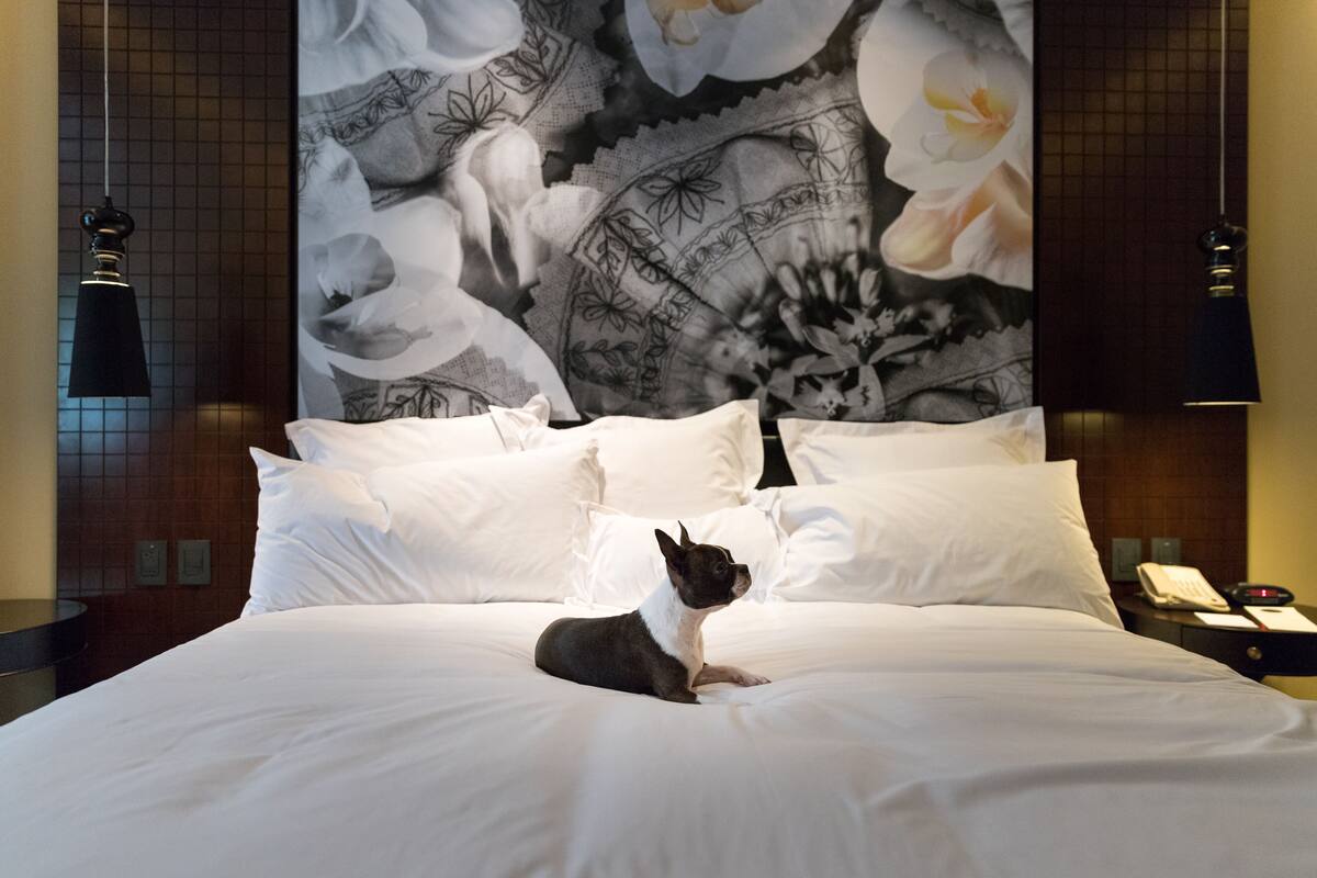 Ein Hotelzimmer mit einem Bett, weißer Bettwäsche, einem Hund, einem großen Blumenwandteppich und einem Nachttisch mit Telefon und Lampe.