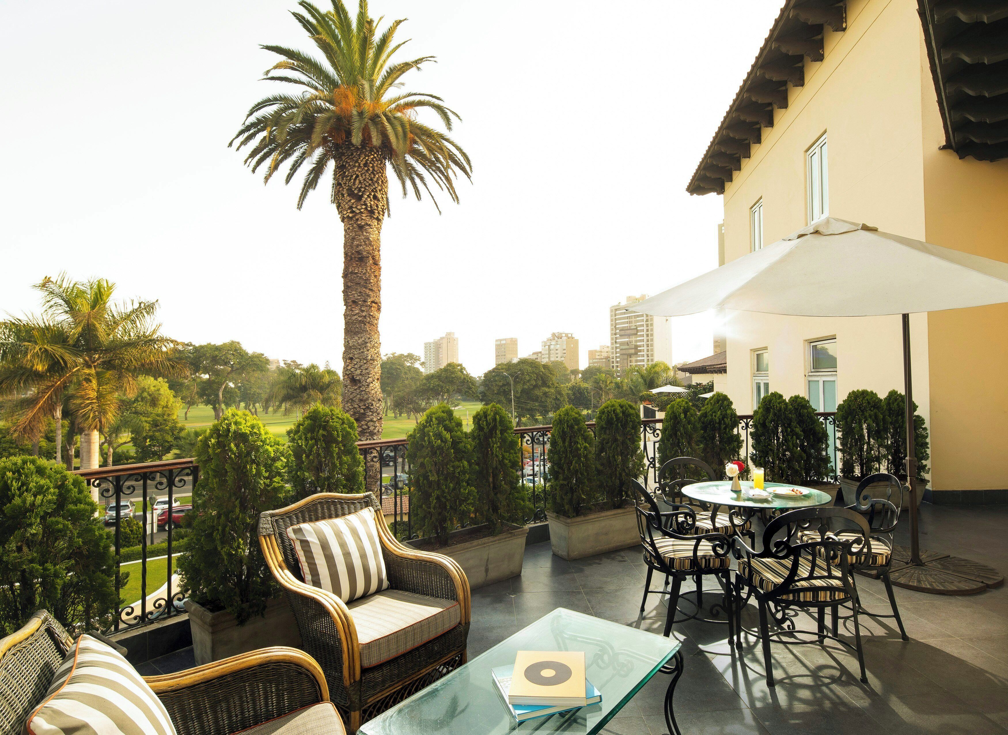 Une terrasse avec des meubles en osier, une table en verre et un palmier.