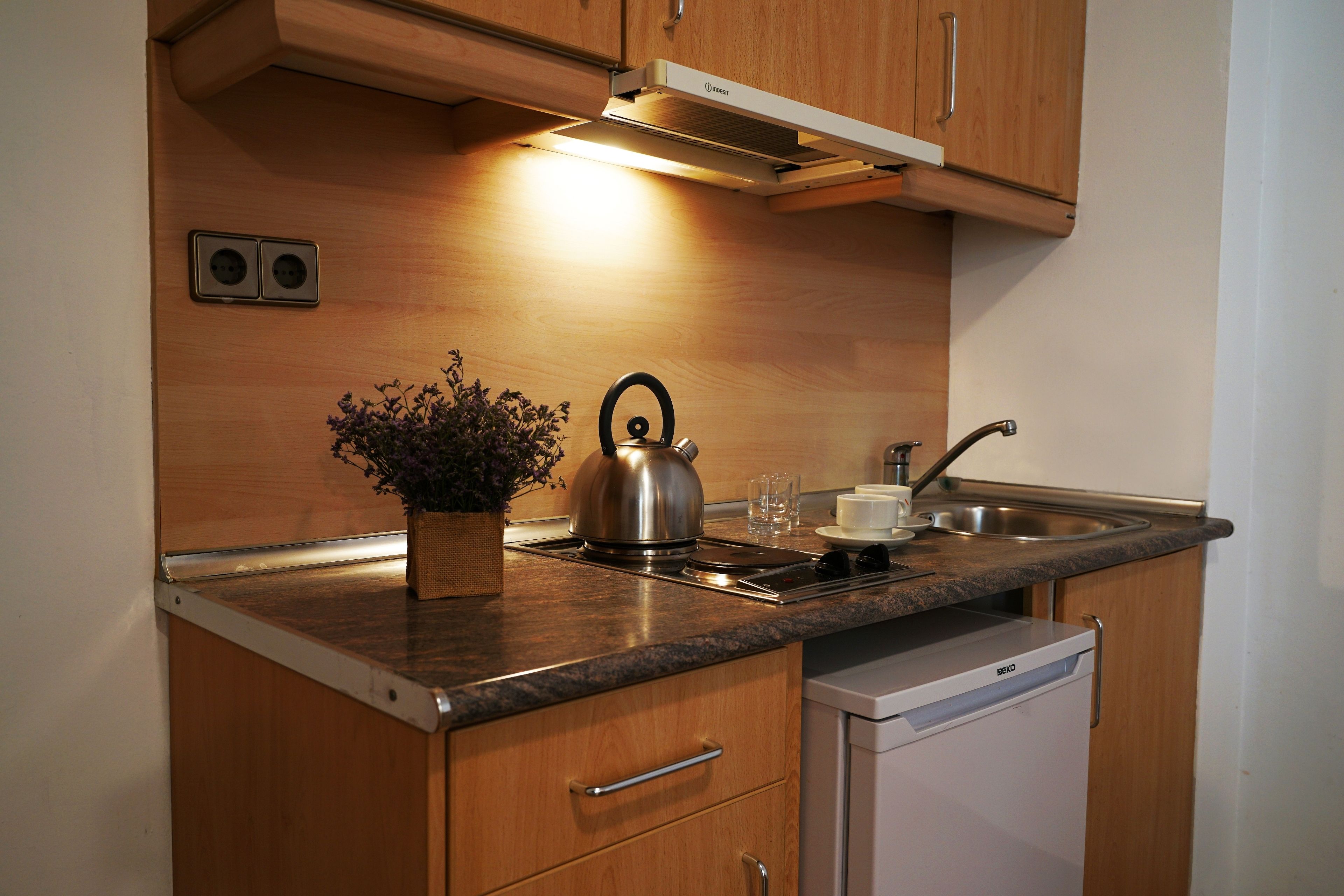 Una cocina compacta con armarios de madera, lavavajillas integrado, hervidor y una pequeña planta en maceta.