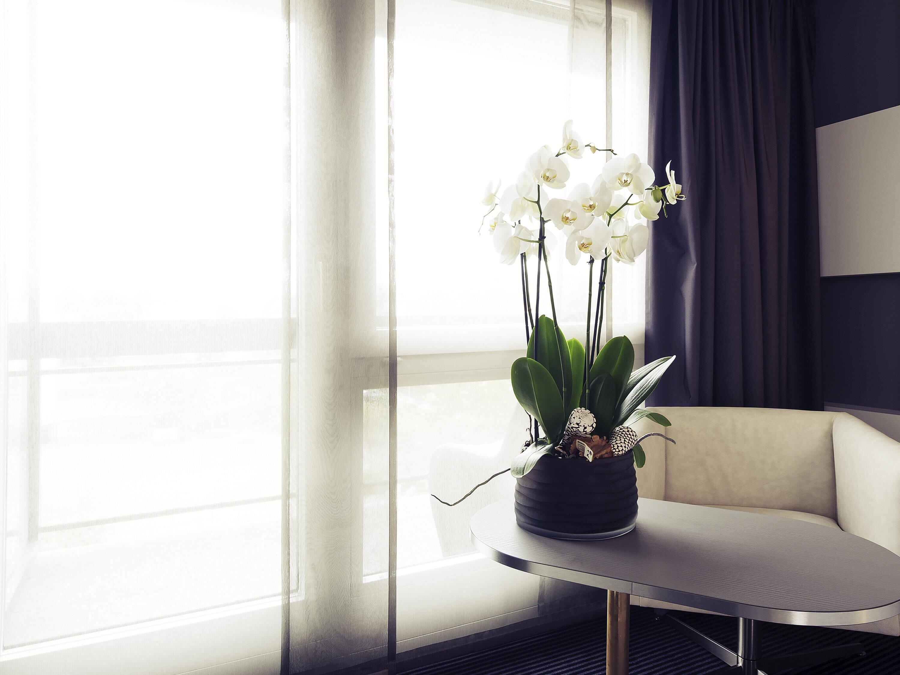 Literie hypoallergénique, minibar, coffres-forts dans les chambres