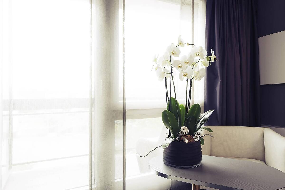 A modern room with a round table, a potted orchid, and a view through sheer curtains.