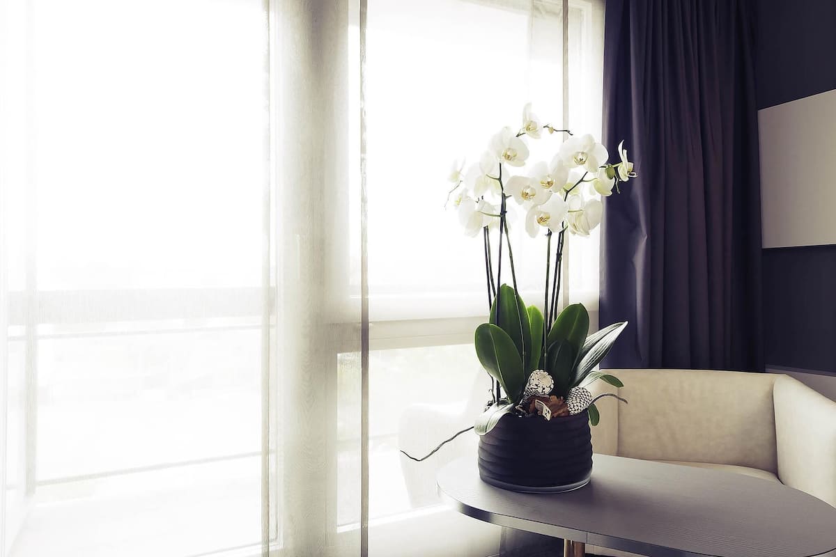 Hypo-allergenic bedding, minibar, in-room safe, desk