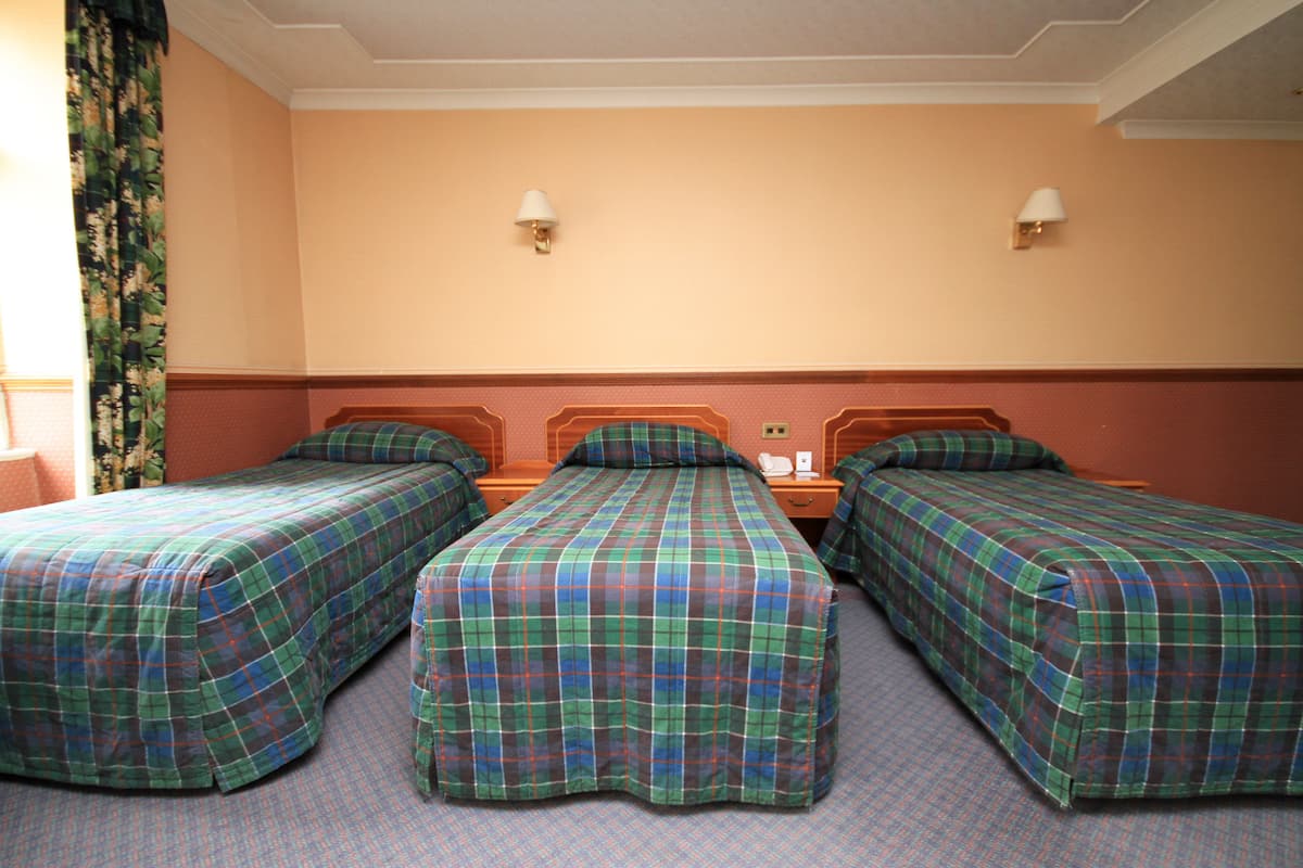 Triple Room | Desk, iron/ironing board, free WiFi, bed sheets
