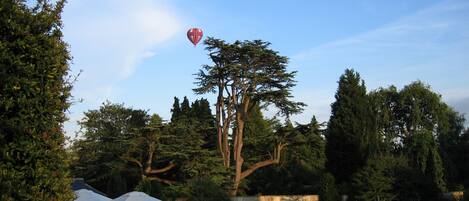 A garden with a hot air balloon, trees, and a tent.
