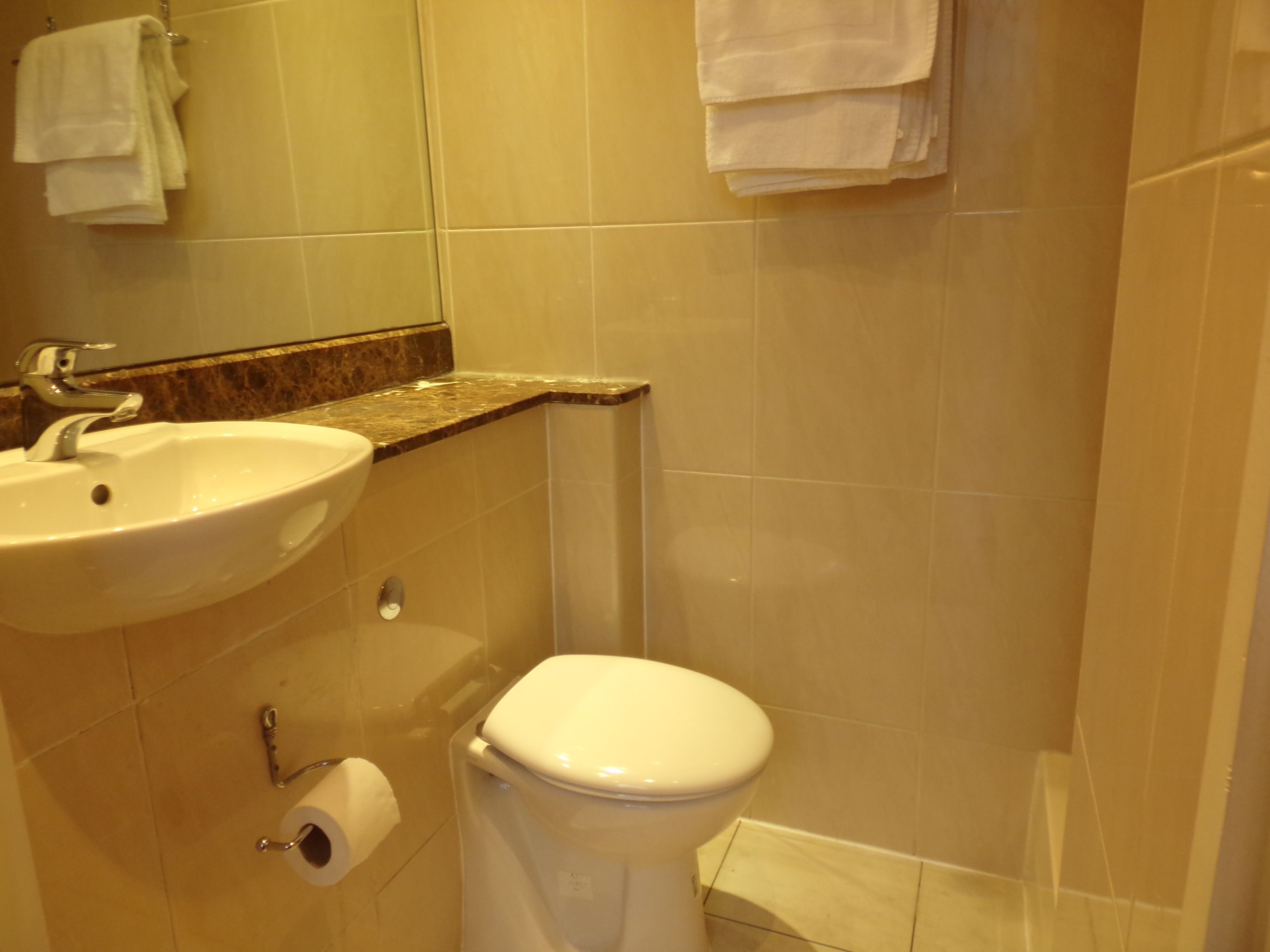 A bathroom with a sink, toilet, and a towel rack.
