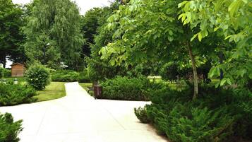 A paved pathway flanked by dense green foliage and a wooden structure.