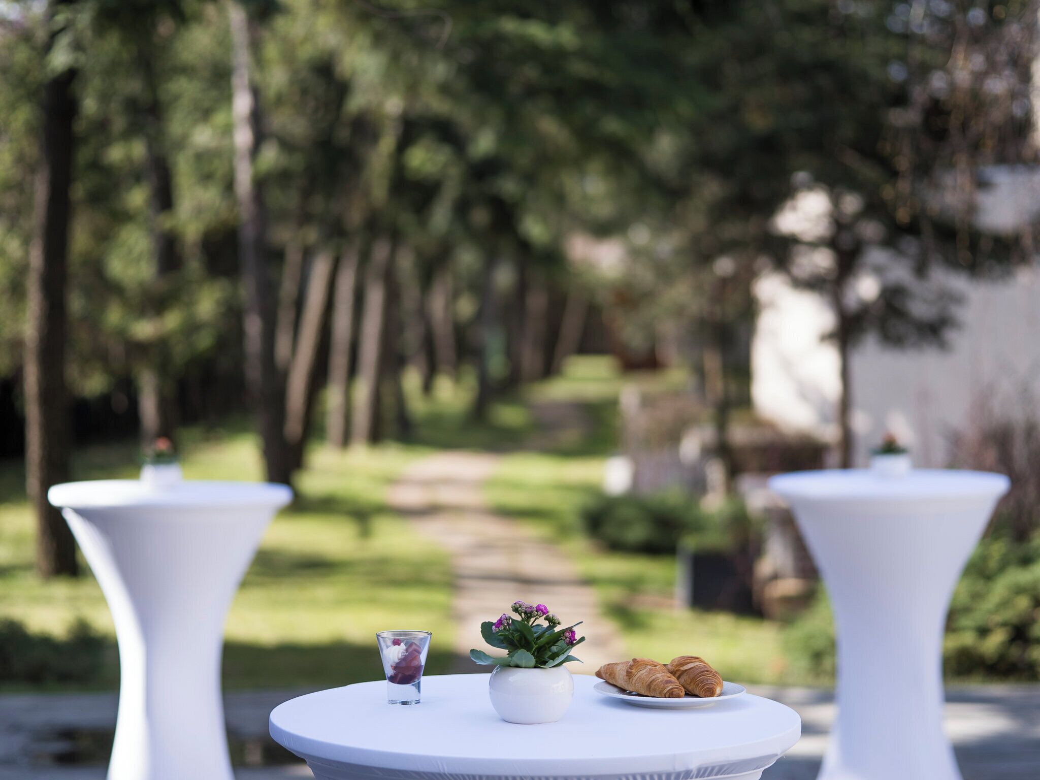 A garden setting with two white tables, one with a glass of water and a small plant, and the other with croissants.