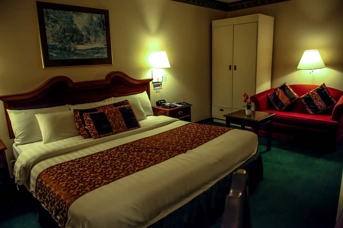 Room, 1 King Bed, Smoking (Limited View)