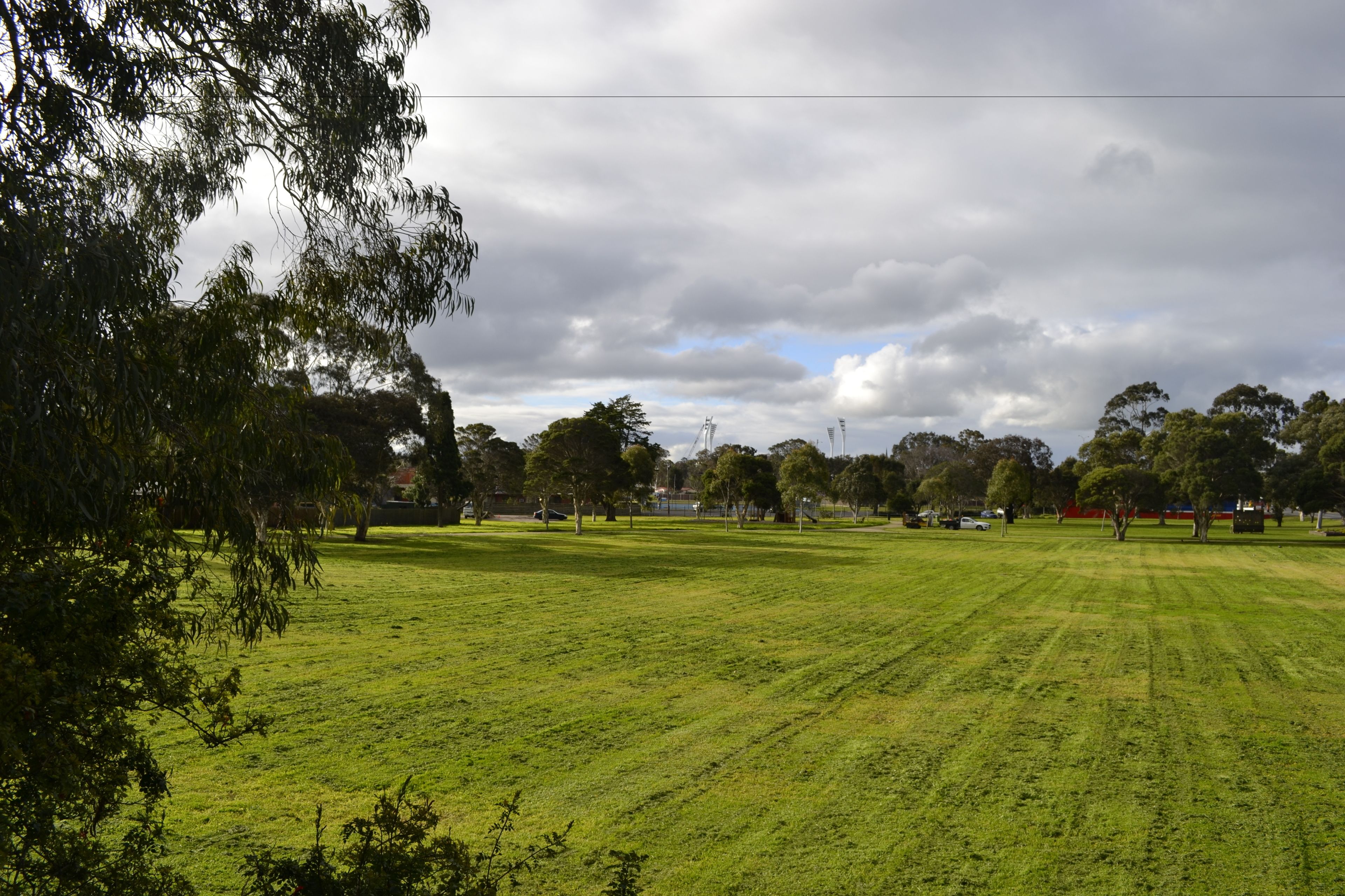 A grassy field with trees and a cloudy sky.