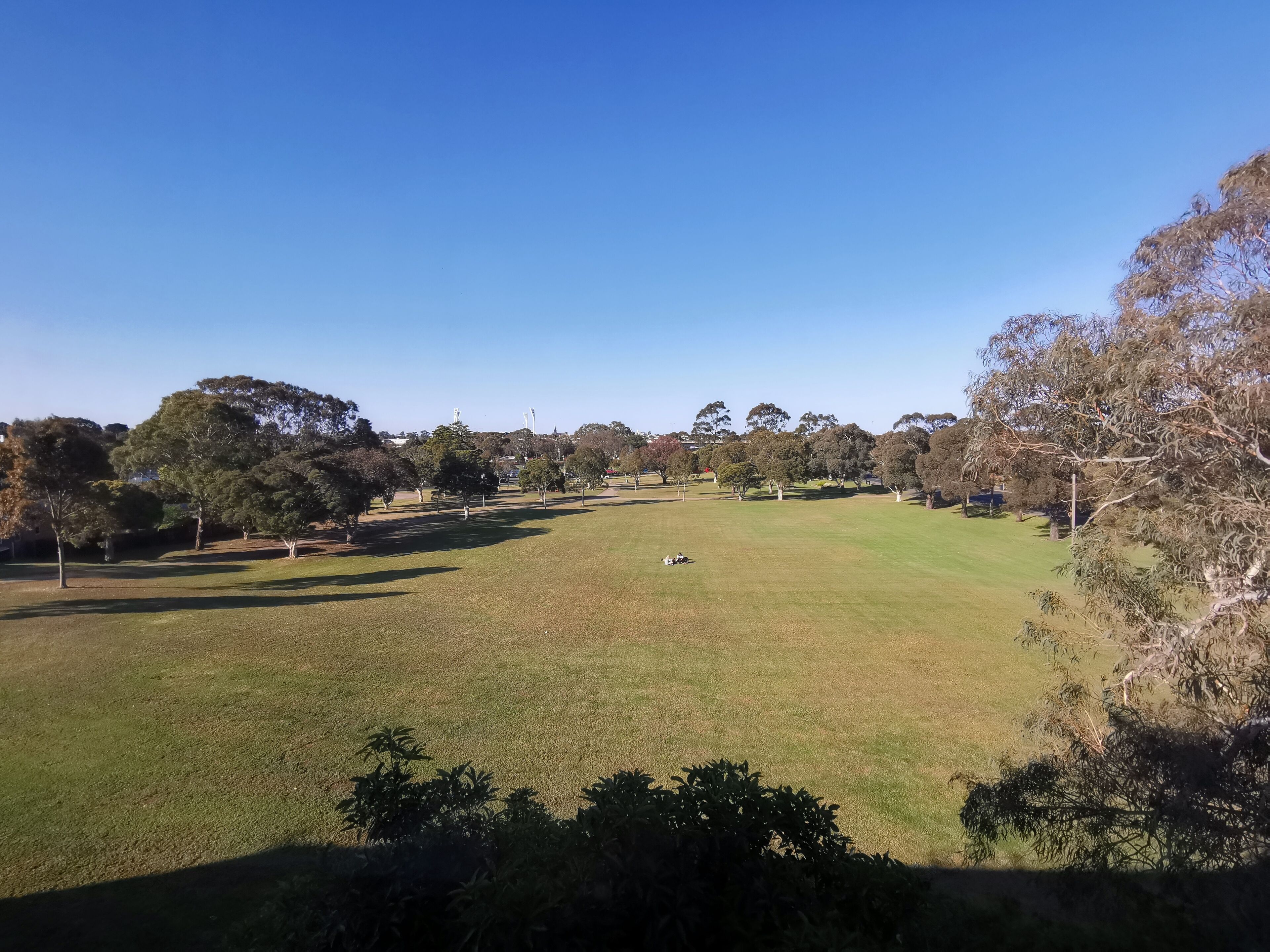 Taman