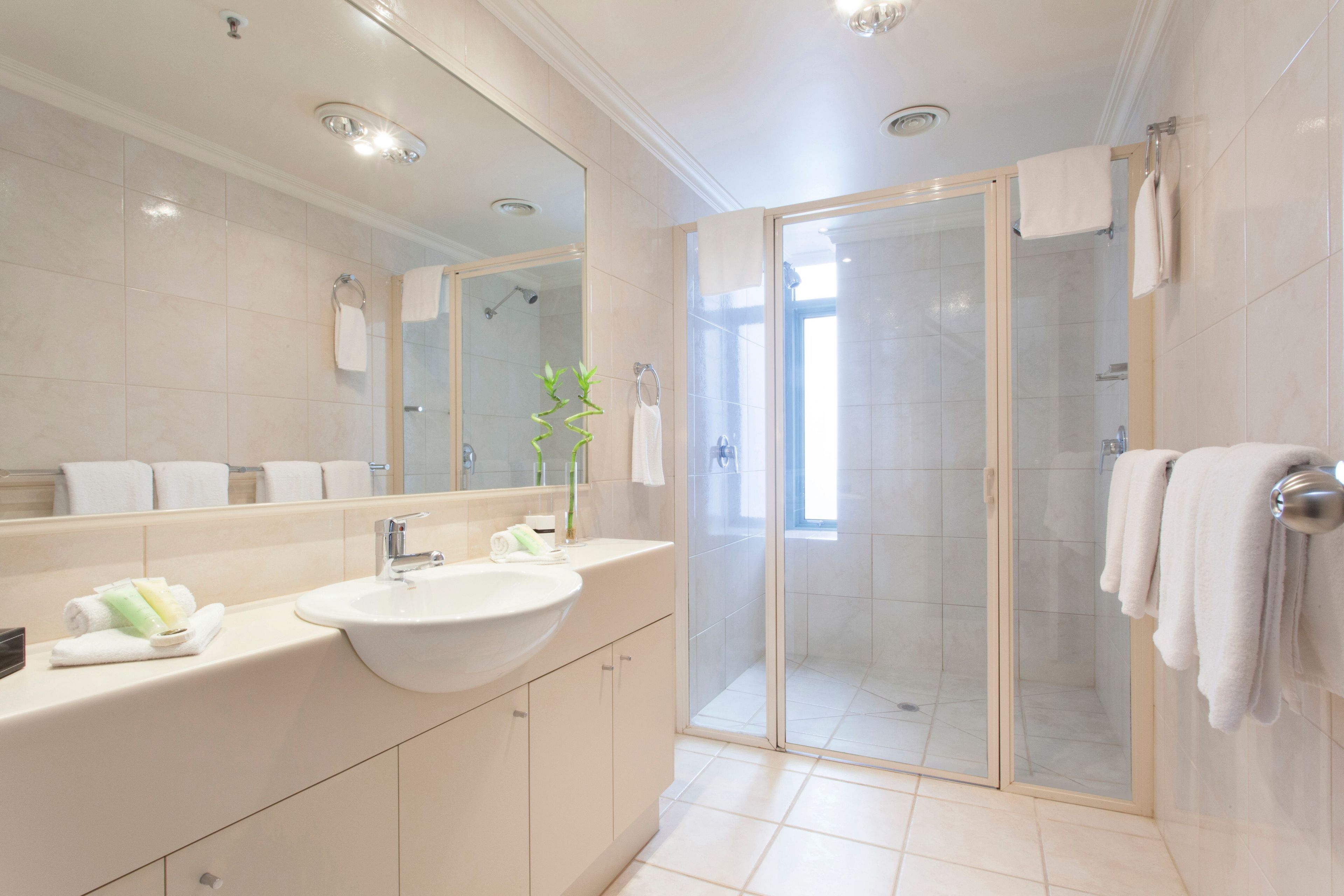 shower, free toiletries, hair dryer, towels