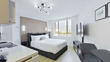 Room (Studio,Mountain View) | View from room