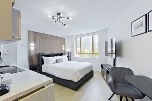 Room (Studio,Mountain View) | View from room