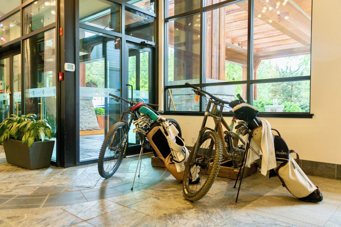 A building entrance with glass doors, a bicycle, and a potted plant.