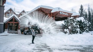 A building with a snow-covered roof and a sign that reads "Flava."