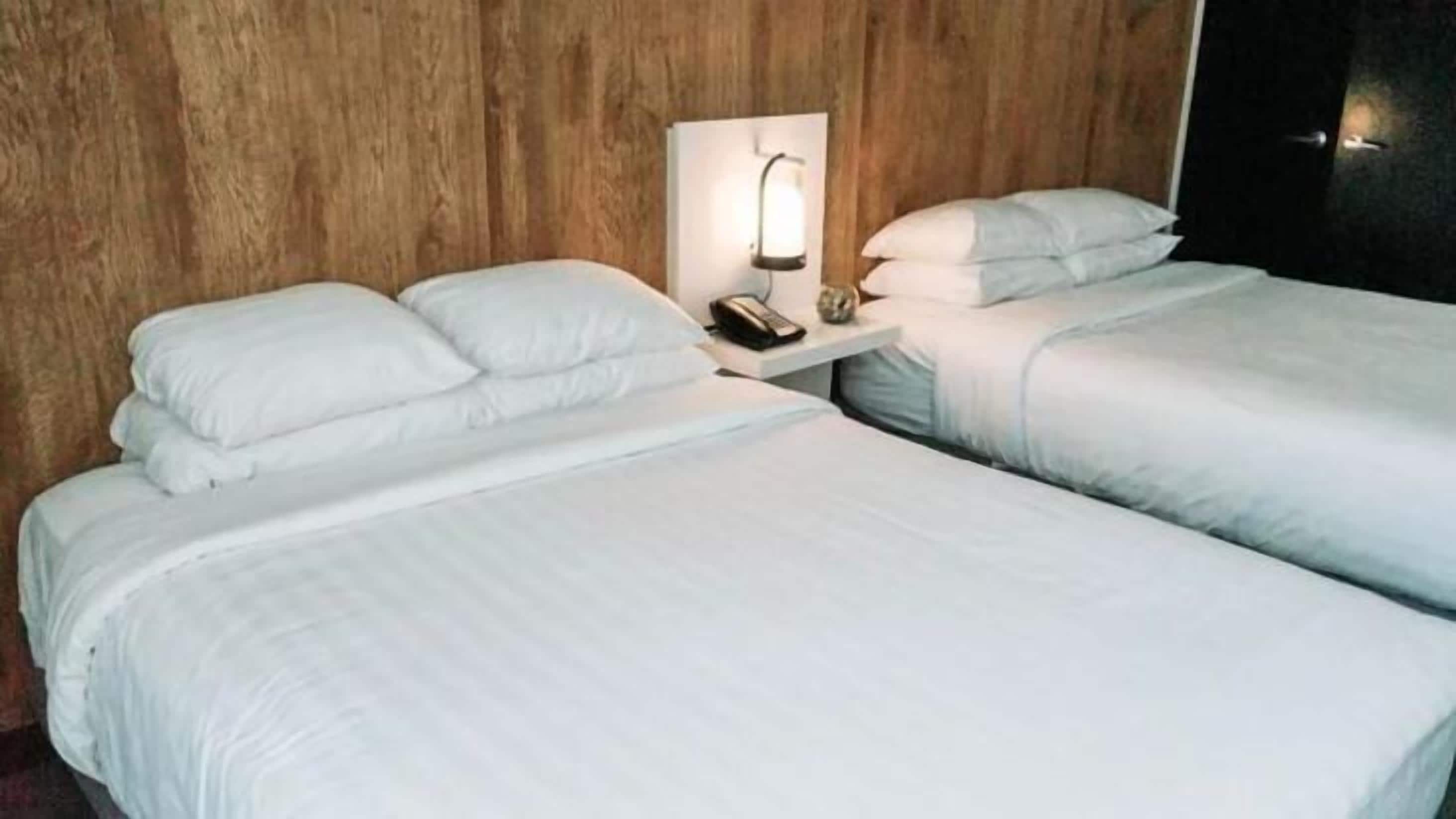 低過敏寢具、舒適加層、客房內保險箱、布置獨特