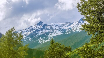 A mountain landscape with snow-capped peaks, dense forest, and a cloudy sky.