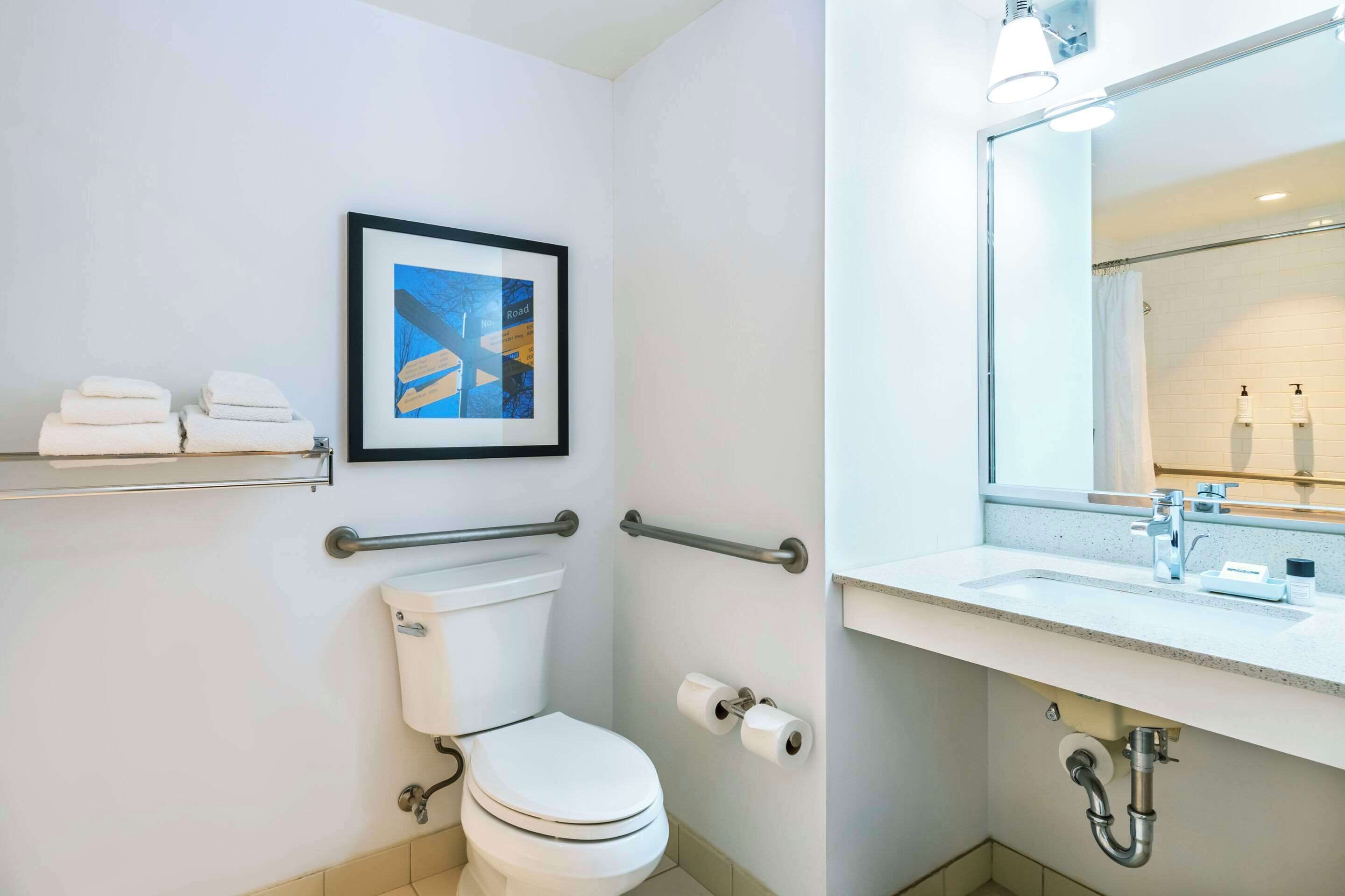 Un baño moderno con inodoro, barras de apoyo, un cuadro enmarco y un lavamanos con espejo.
