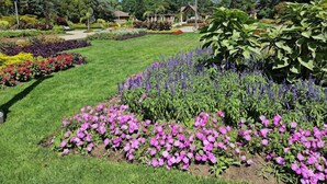 A well-maintained garden with various flower beds and a lawn.