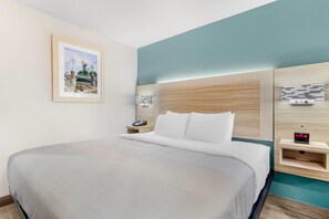 Standard Single Room, 1 King Bed, Non Smoking - Quality Inn & Suites (Knoxville)