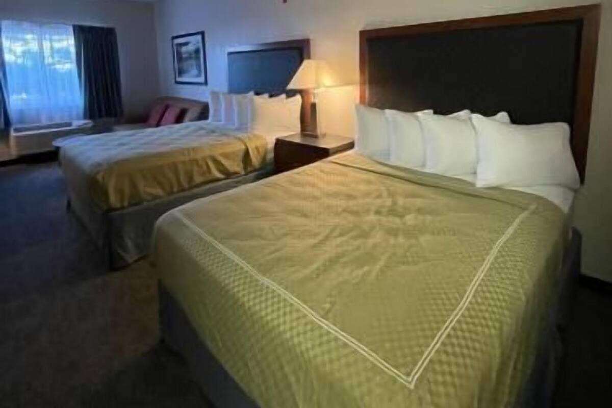 A hotel room with two beds, a window with curtains, a bedside table with a lamp, and a framed picture on the wall.