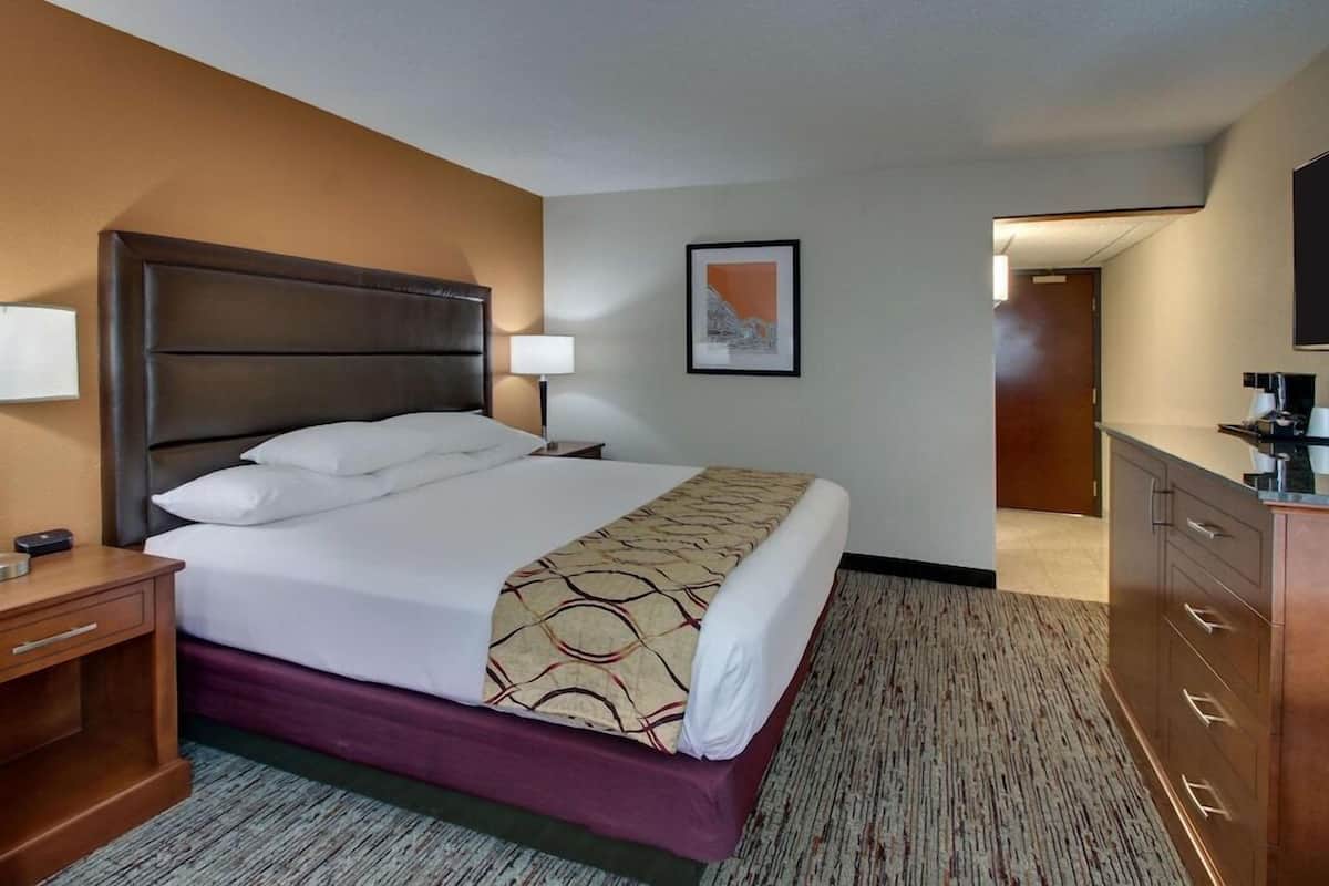 A hotel room with a large bed, a bedside table with a lamp, a dresser, and a framed picture on the wall.