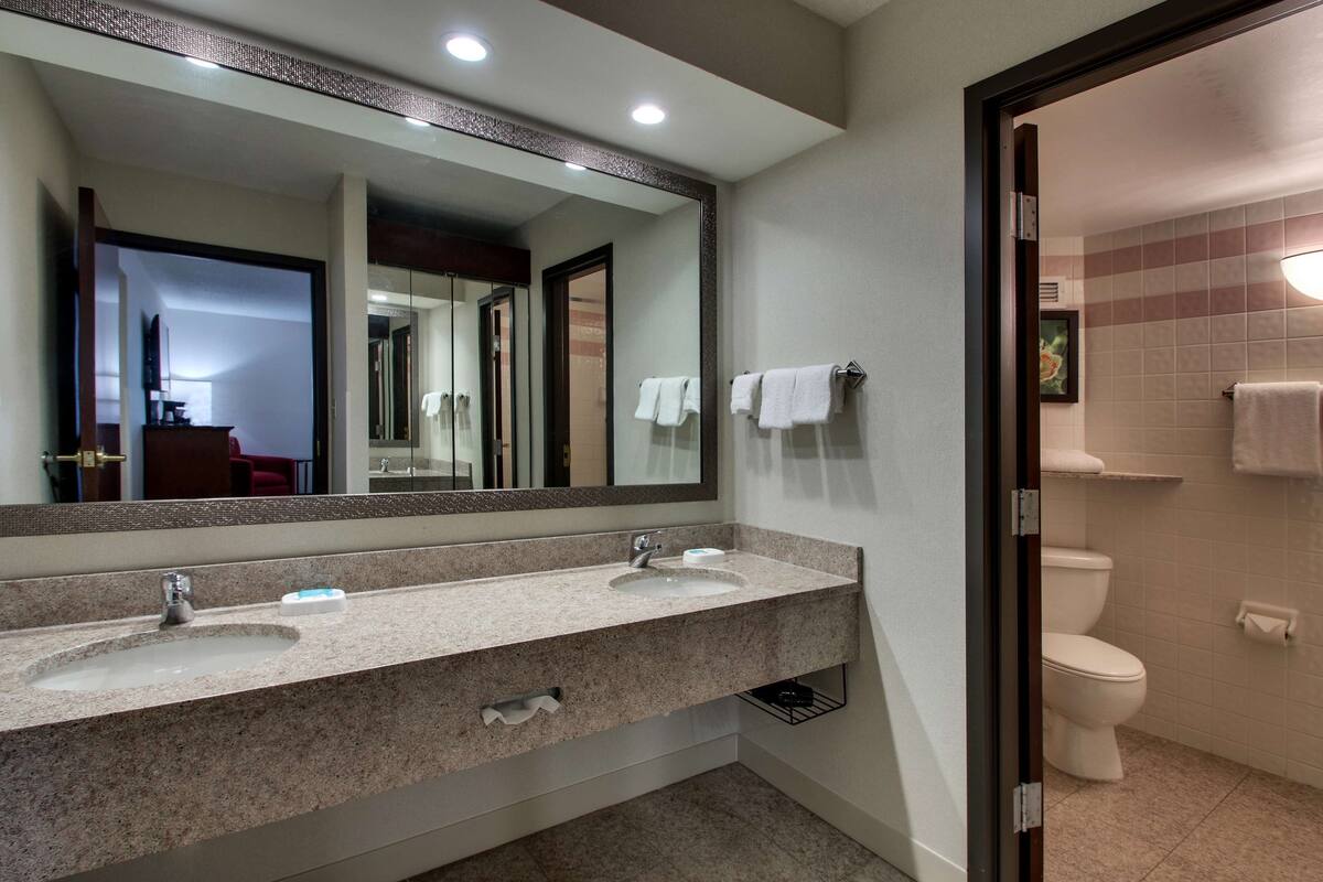 combined shower/bathtub, free toiletries, hair dryer, towels