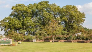A well-maintained garden with a variety of trees and flowering plants.