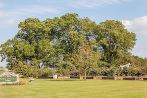 Área de parrillas y picnic