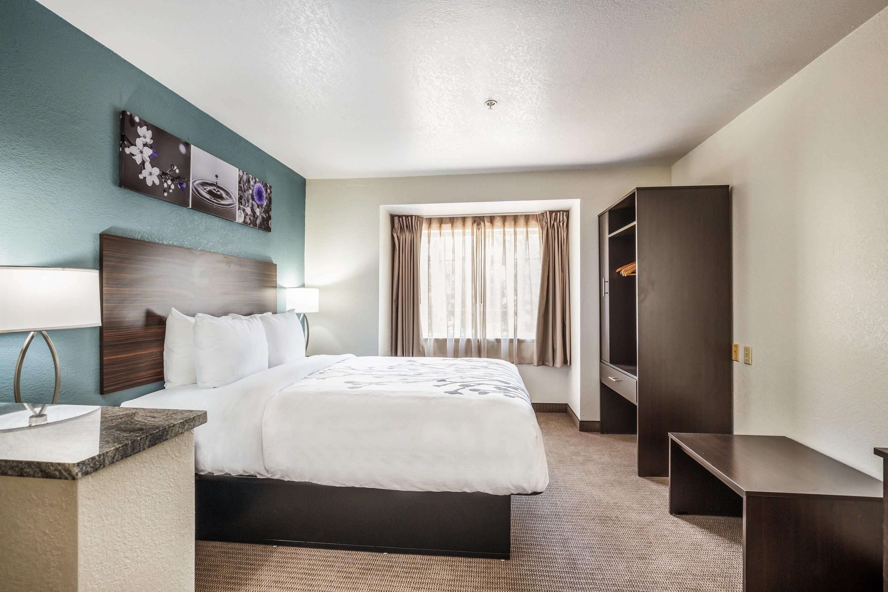 Desk, blackout drapes, soundproofing, iron/ironing board