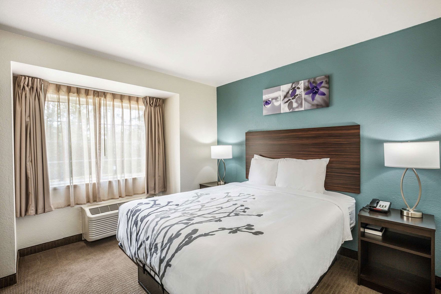 Desk, blackout drapes, soundproofing, iron/ironing board