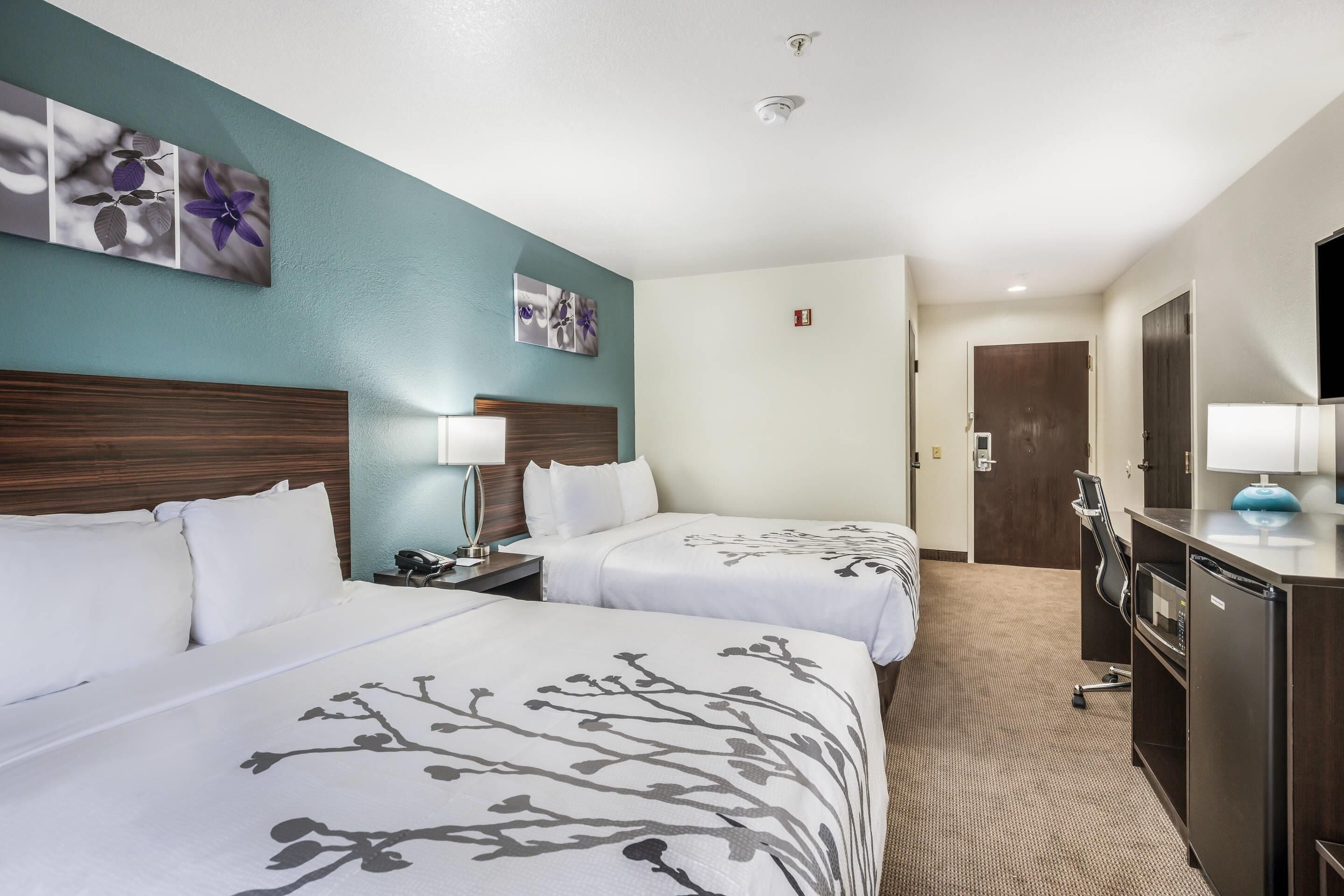 A hotel room with two beds, a desk, a chair, a TV, and a bathroom door.
