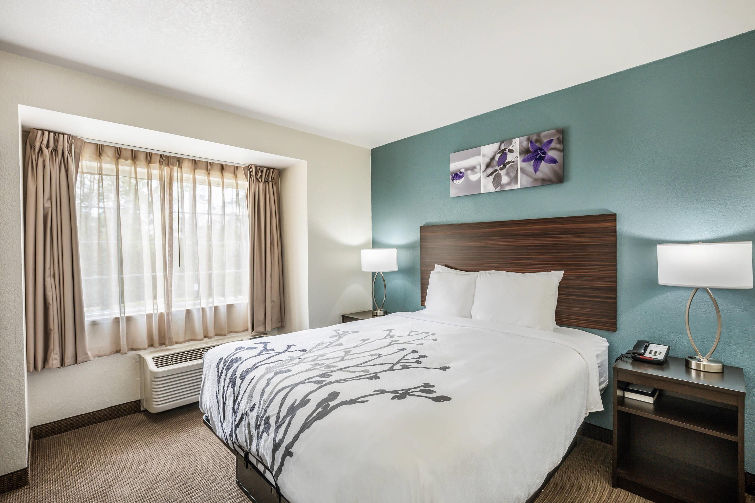 Desk, blackout curtains, soundproofing, iron/ironing board