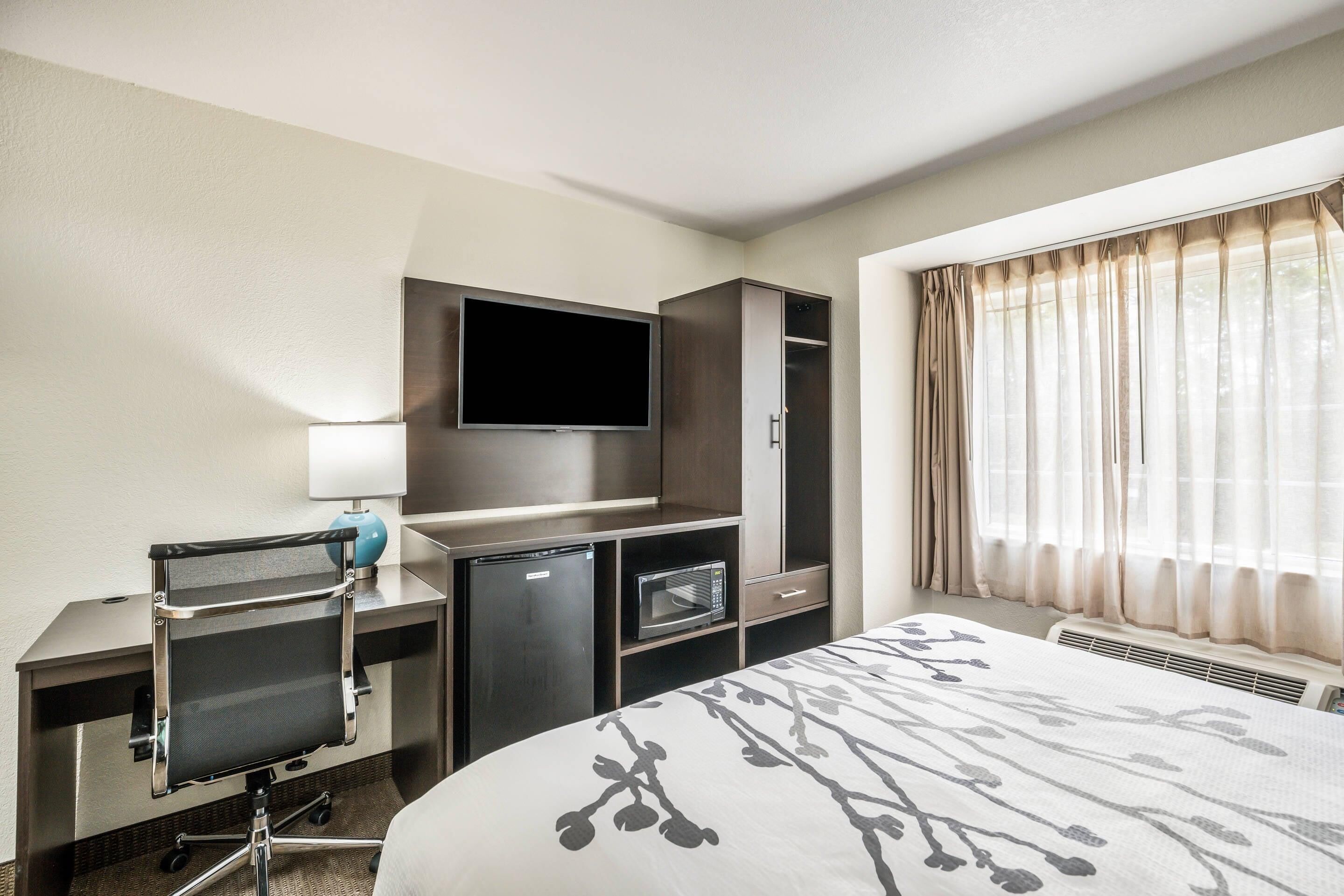 Una habitación de hotel con cama, escritorio con silla, televisor, microondas y armario.