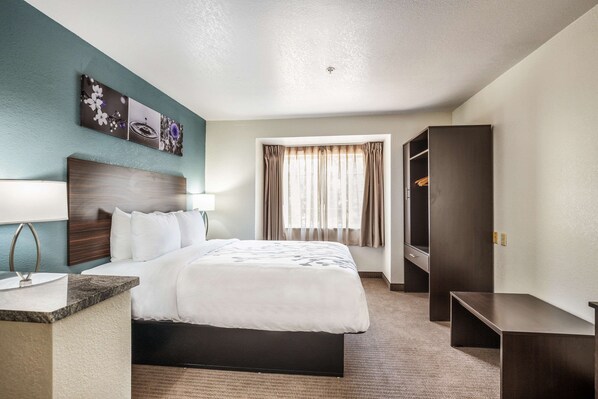 Desk, blackout drapes, soundproofing, iron/ironing board - Sleep Inn & Suites Tallahassee-Capitol (Tallahassee)