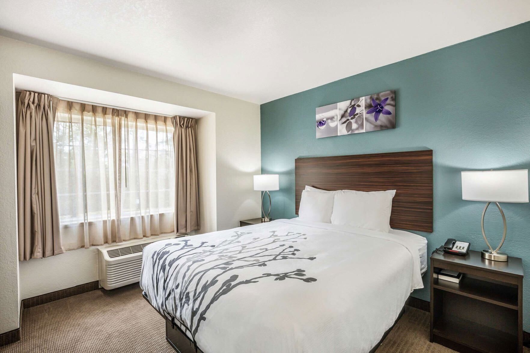 Desk, blackout drapes, soundproofing, iron/ironing board