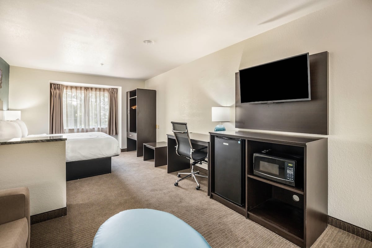 Desk, blackout curtains, soundproofing, iron/ironing board