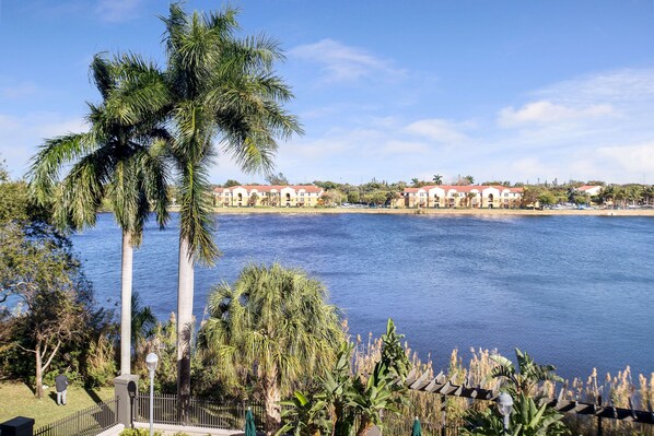 A waterfront view with palm trees, a fence, and buildings in the background.