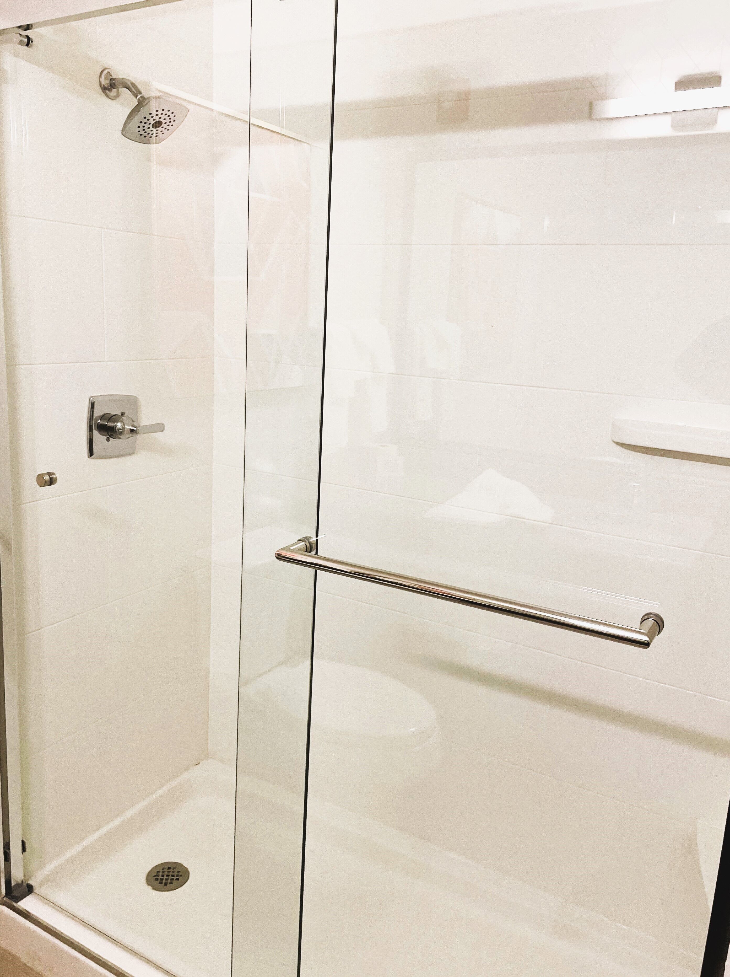 A glass-enclosed shower with a handheld showerhead, a glass door, and a metal towel bar.