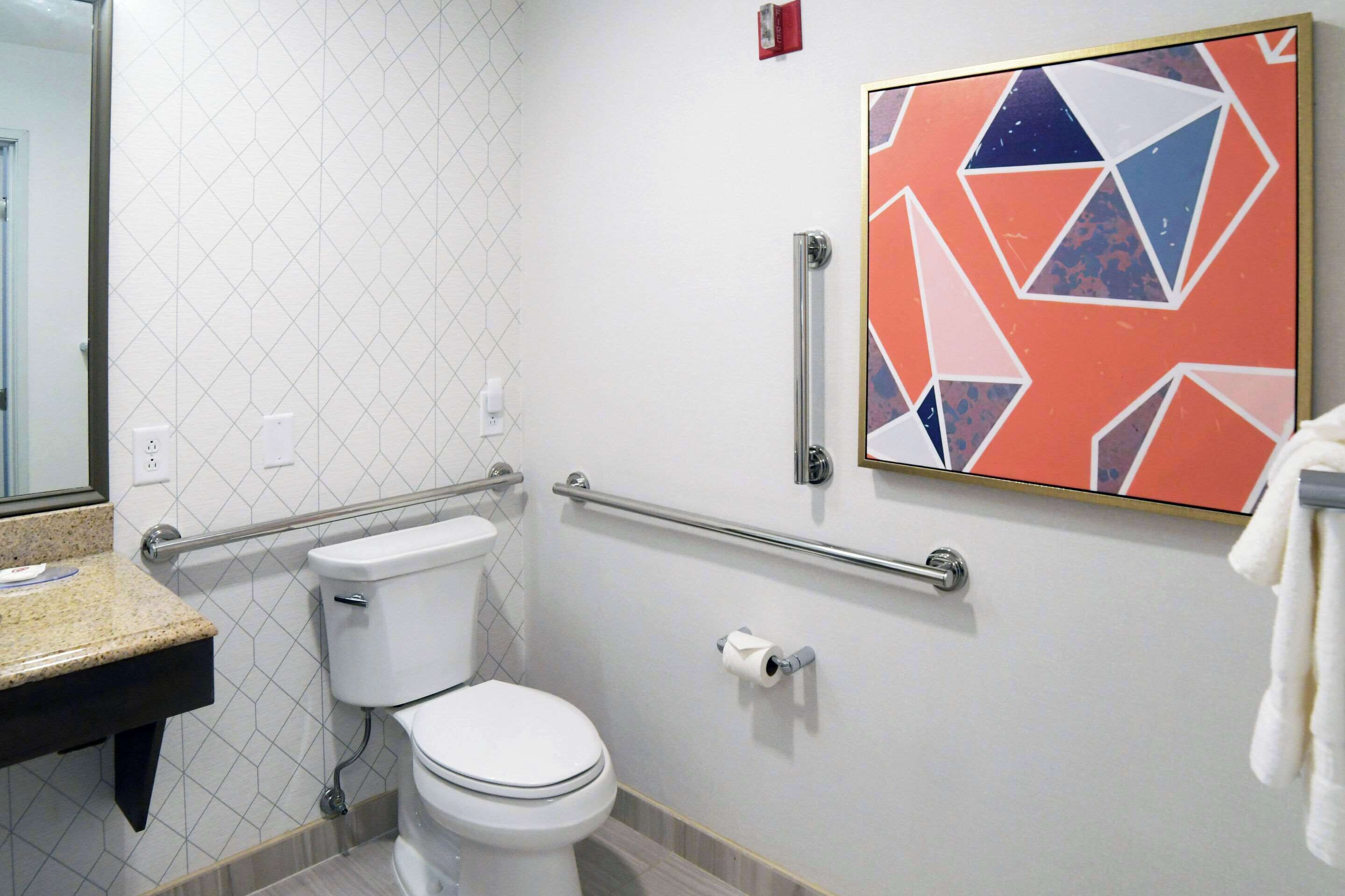 Une salle de bain équipée de toilettes, de barres d’appui, d’un porte-serviettes et d’une œuvre d’art géométrique au mur.