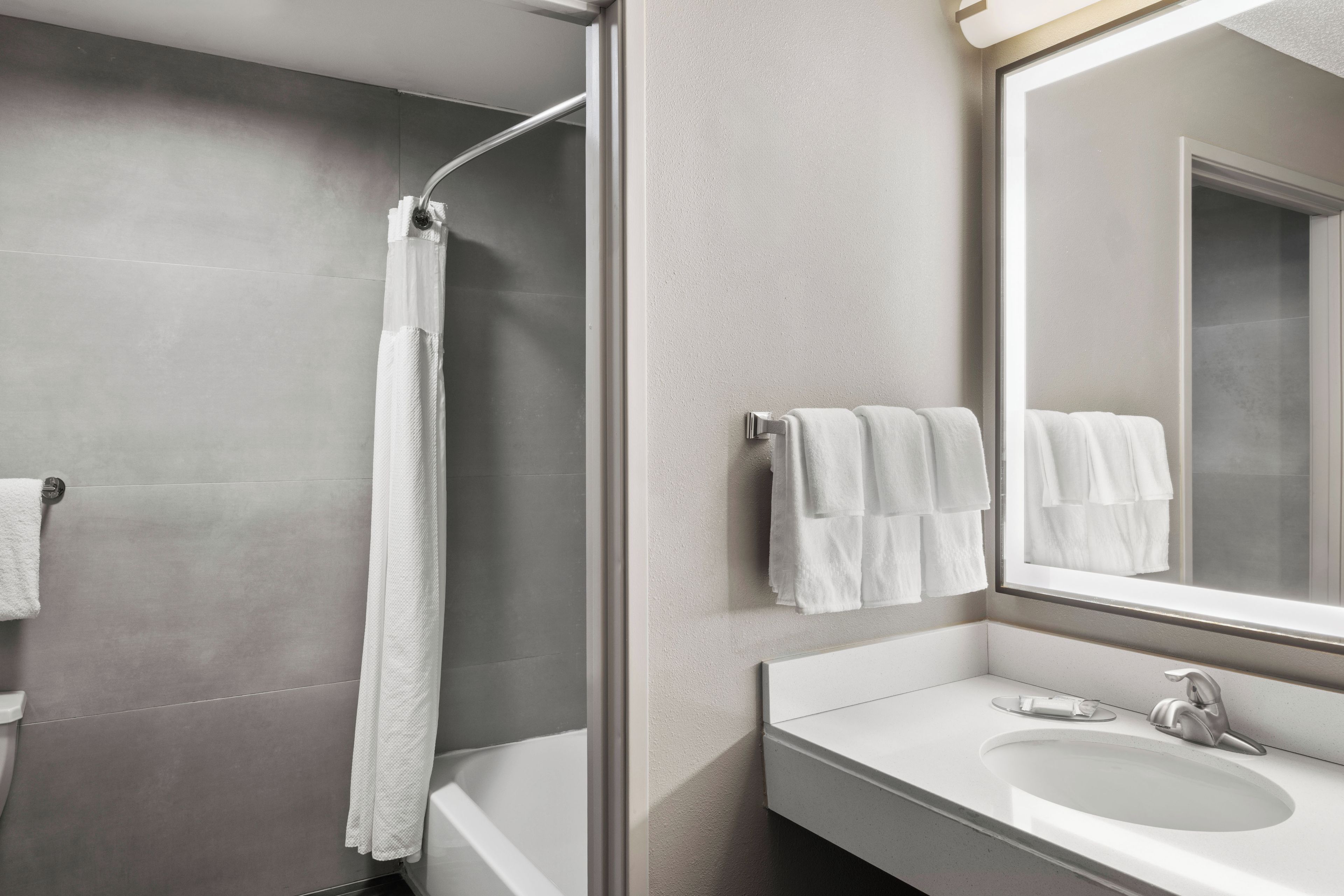 A modern bathroom with a shower, a toilet, a sink, and a mirror.