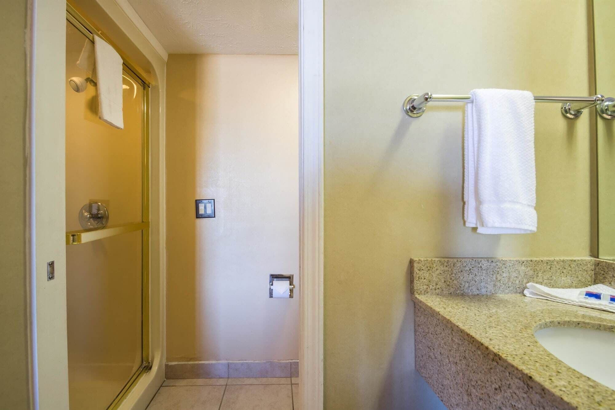 A bathroom with a glass shower door, a towel rack with a white towel, a sink with a granite countertop, and a toilet paper holder on the wall.