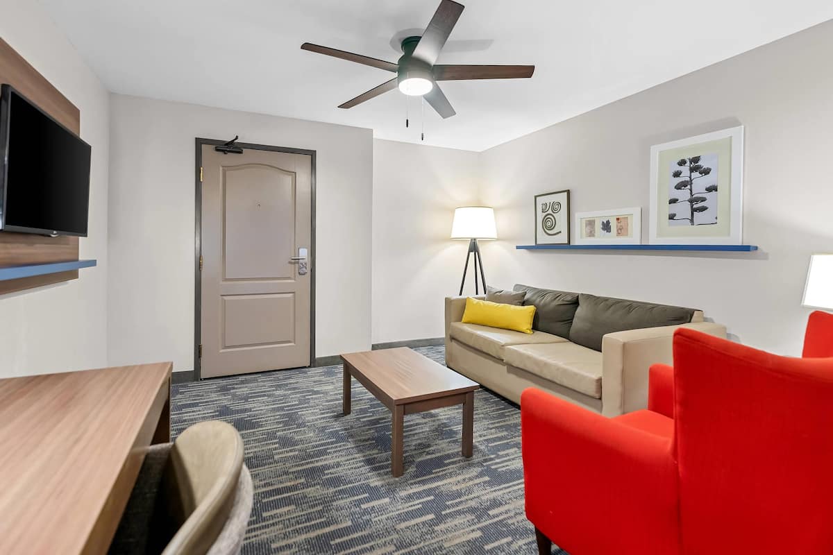 A modern living room with a ceiling fan, a flat-screen TV, a sofa with cushions, a coffee table, and a lamp.