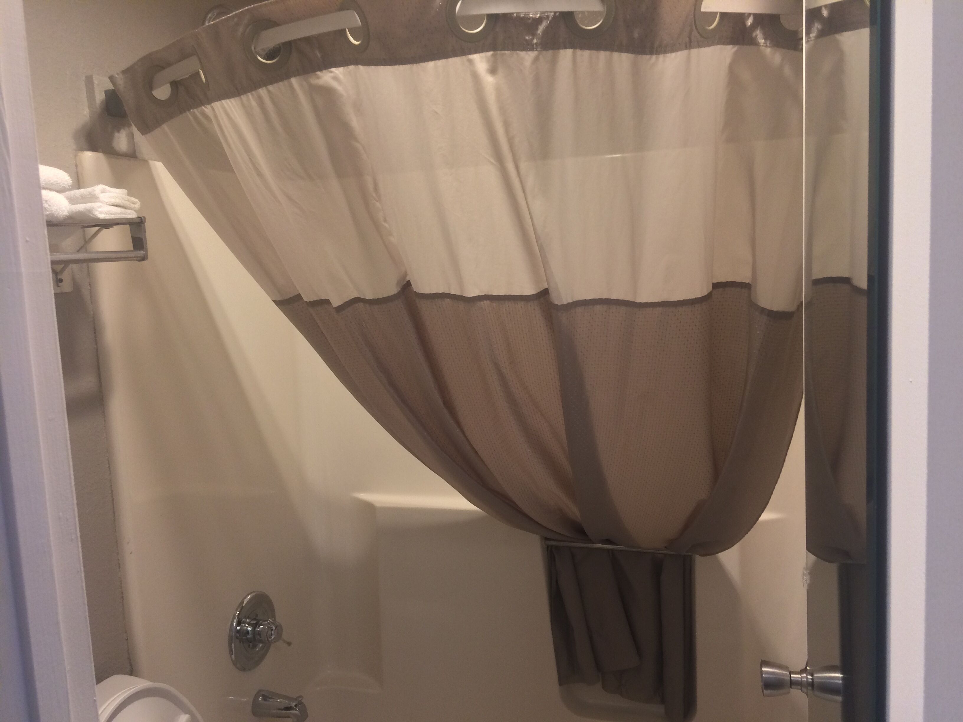 Ein Badezimmer mit Duschvorhang, Toilette und Handtuchhalter.