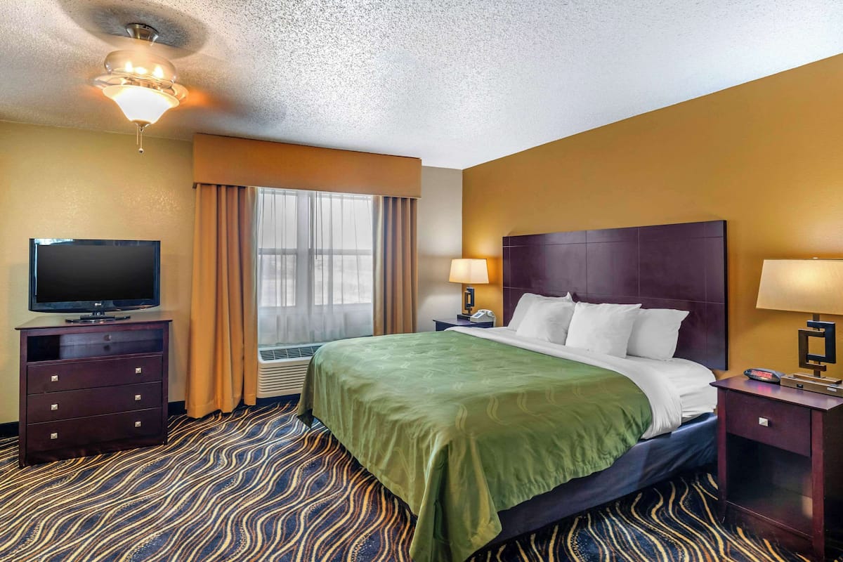 Business Suite, 1 King Bed with Sofa bed, Non Smoking, Jacuzzi | Desk, iron/ironing board, free cribs/infant beds, free rollaway beds