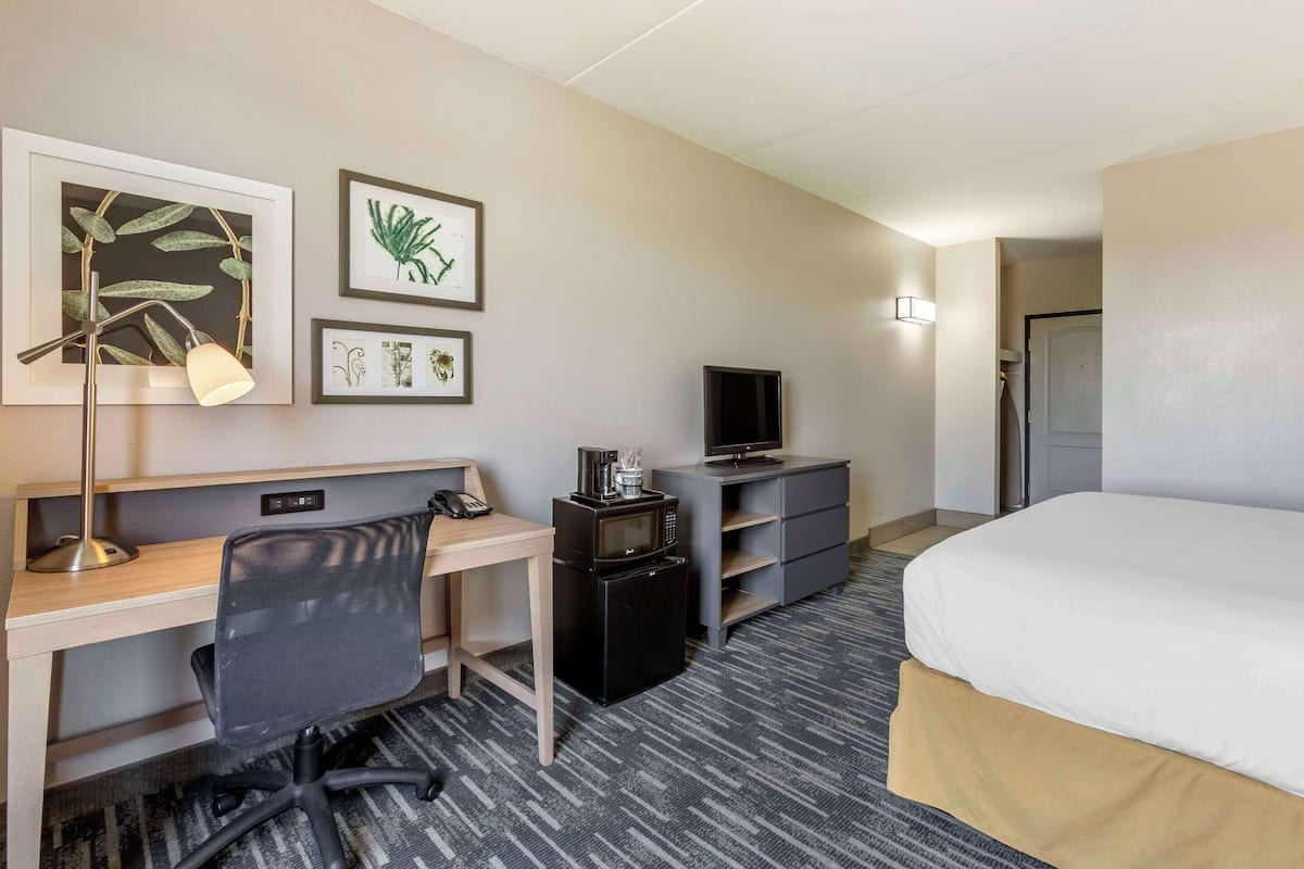 A hotel room with a bed, desk, chair, TV, microwave, and a small cabinet.