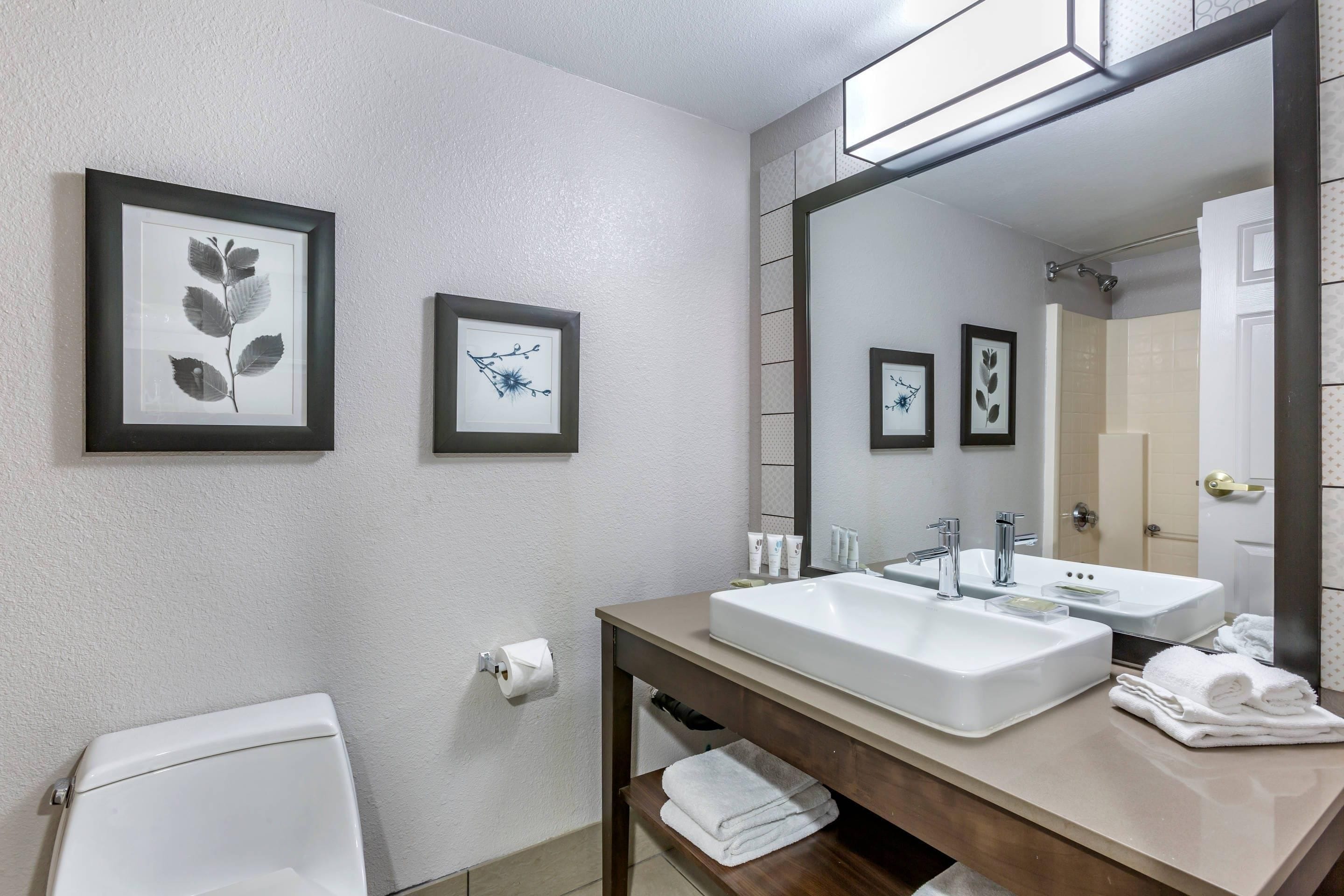 A modern bathroom with a large mirror, two sinks, and framed botanical prints on the wall.