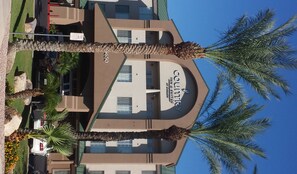 A hotel with a curved facade, palm trees, and a clear blue sky.