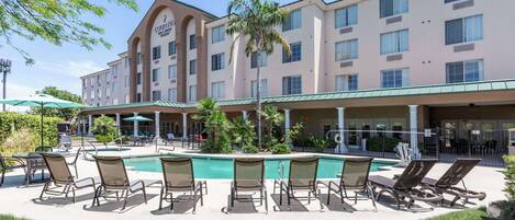Outdoor pool, pool loungers